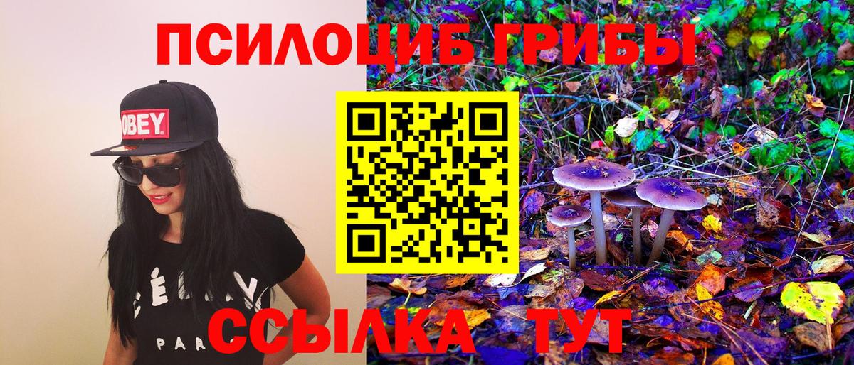 Галлюциногенные грибы мицелий Реж