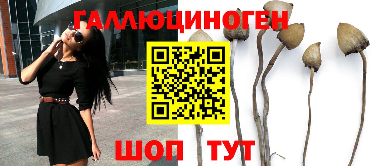 Реж  закладка  Вход с VPN  Галлюциногенные грибы Psilocybe  Псилоцибиновые грибы GOLDEN TEACHER 