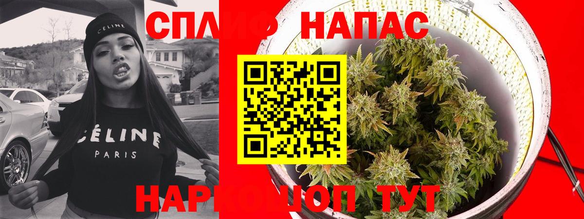 Бошки марихуана план  Вход с VPN  Бошки Шишки ГИДРОПОН  Реж  Бошки Шишки гибрид  Бошки Шишки семена 
